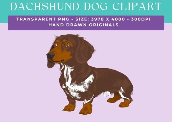 Dachshund Sausage Dog Weiner Clipart